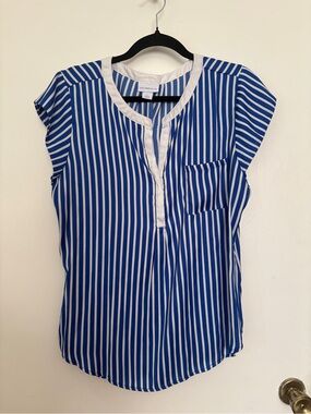 LC Lauren Conrad Blue and White Vertical Stripe Short Sleeve Blouse
